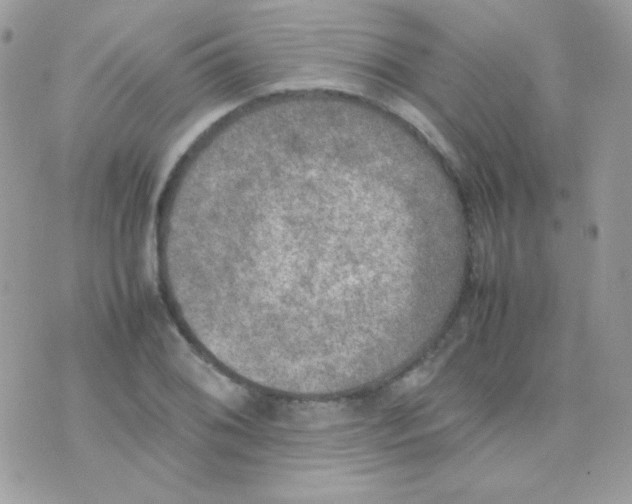 X0000074971076200609291932