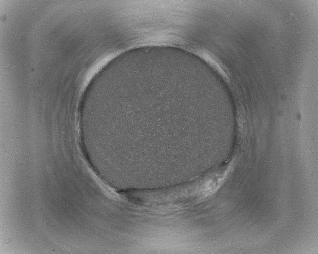 X0000074971077200609291932