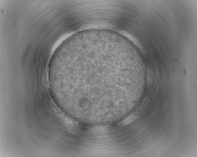 X0000074971078200609291932