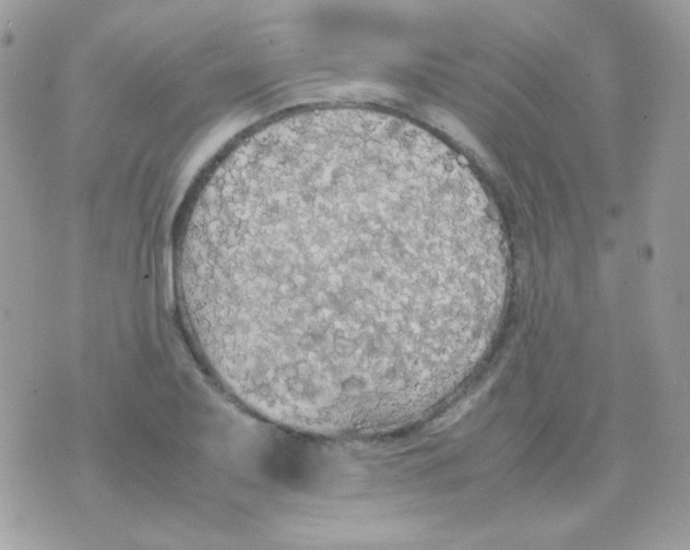 X0000074971079200609291932