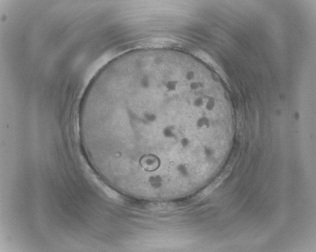 X0000074971083200609291932