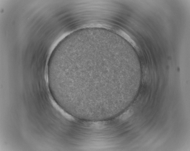 X0000074971084200609291932