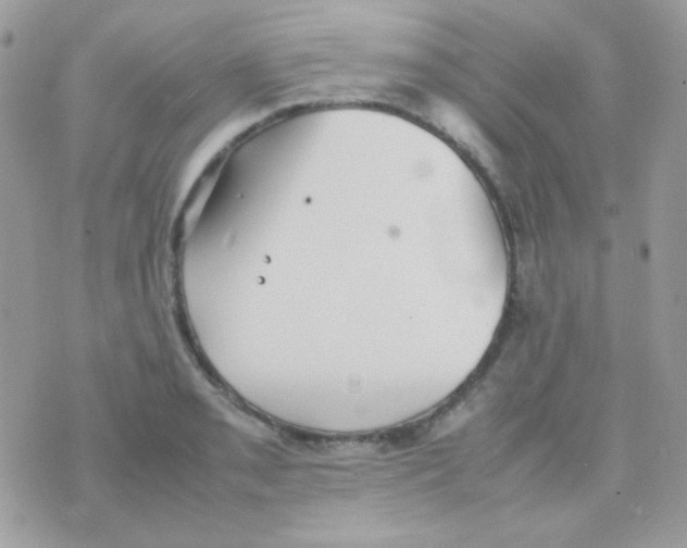 X0000074971085200609291932