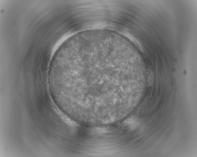 X0000074971086200609291932