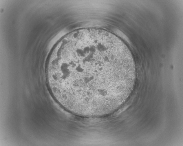 X0000074971087200609291932