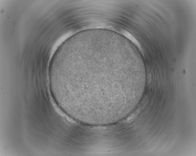 X0000074971088200609291932