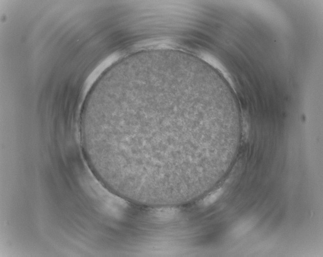 X0000074971090200609291932