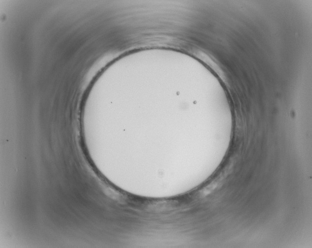 X0000074971093200609291932