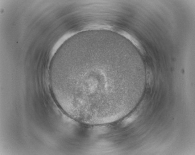 X0000074971094200609291932