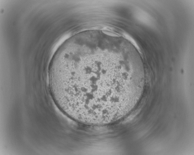 X0000074971095200609291932