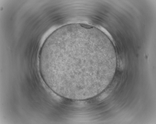 X0000074971096200609291932