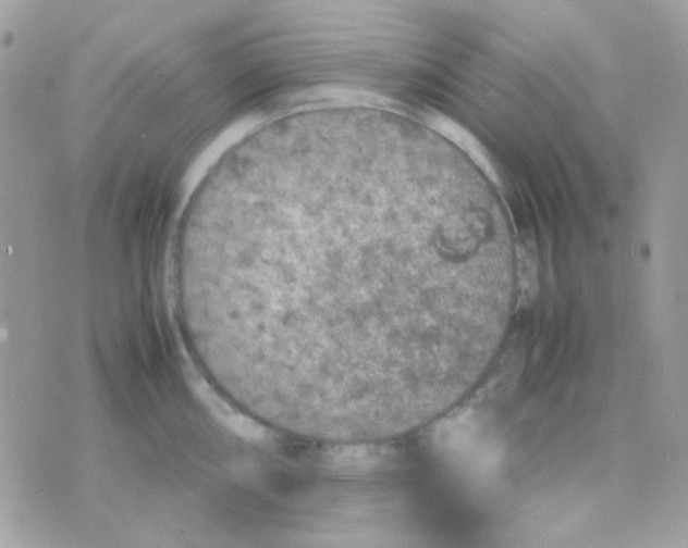 X0000074971098200609291932