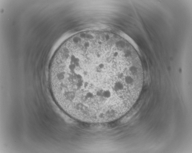 X0000074971099200609291932