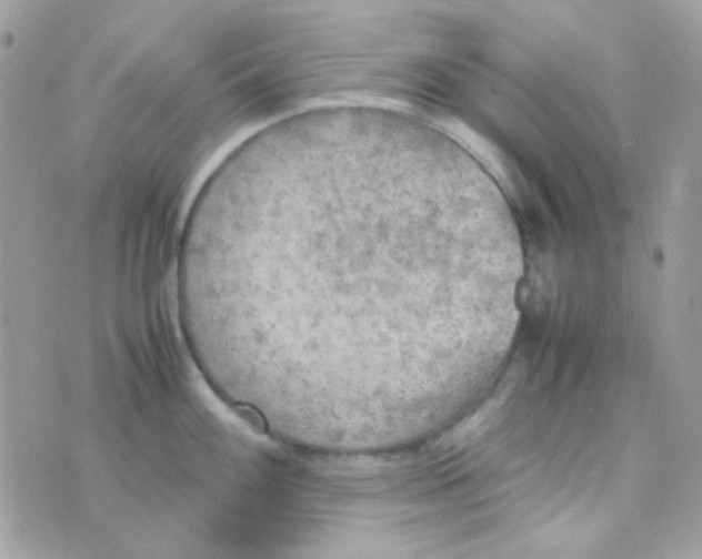 X0000074971100200609291932