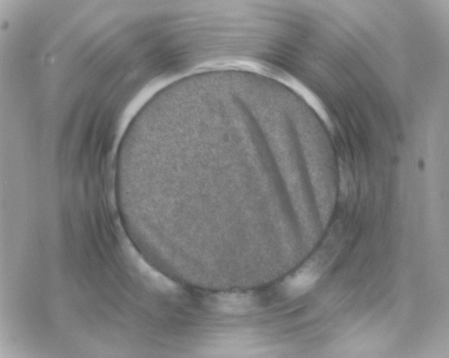 X0000074971102200609291932