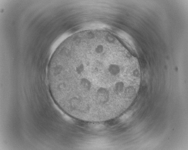 X0000074971103200609291932