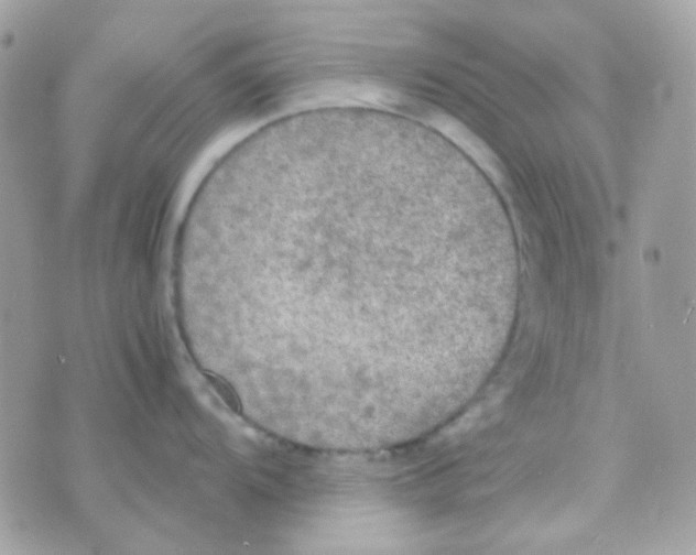 X0000074971104200609291932