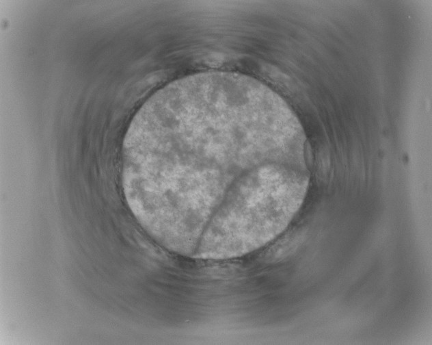 X0000074971105200609291931