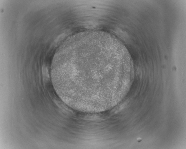 X0000074971106200609291931