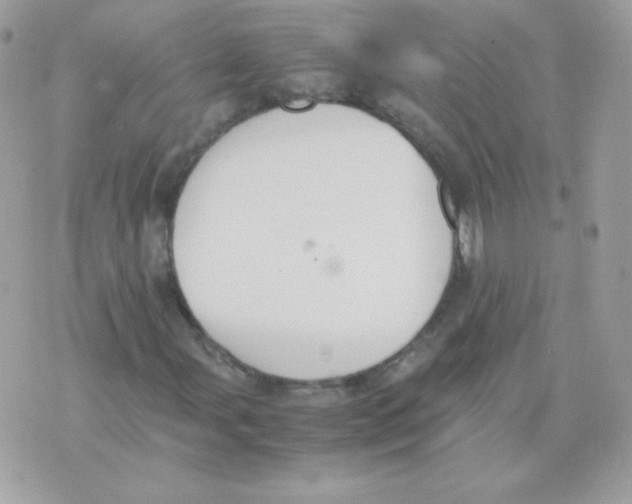 X0000074971107200609291931