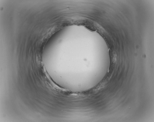 X0000074971108200609291931