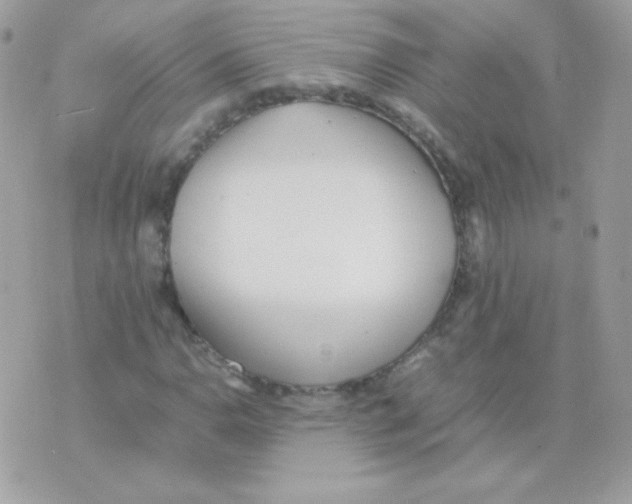 X0000074971110200609291931