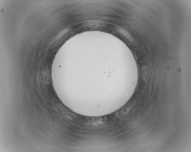 X0000074971111200609291931