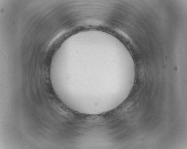 X0000074971112200609291931