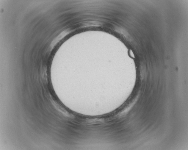 X0000074971113200609291931