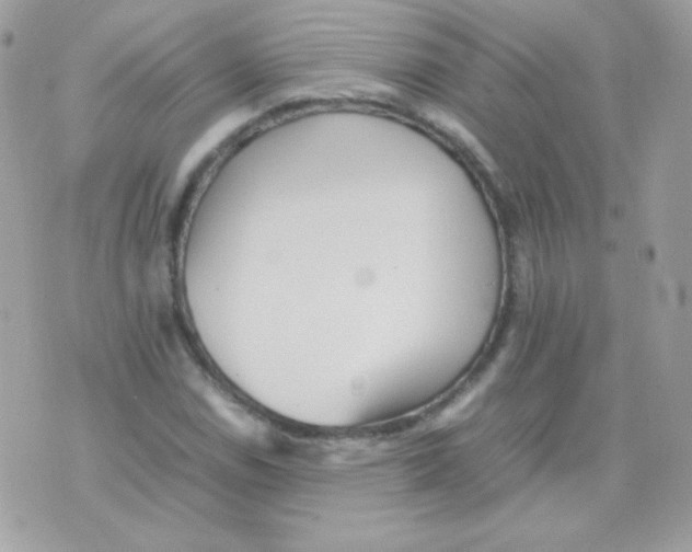 X0000074971114200609291931