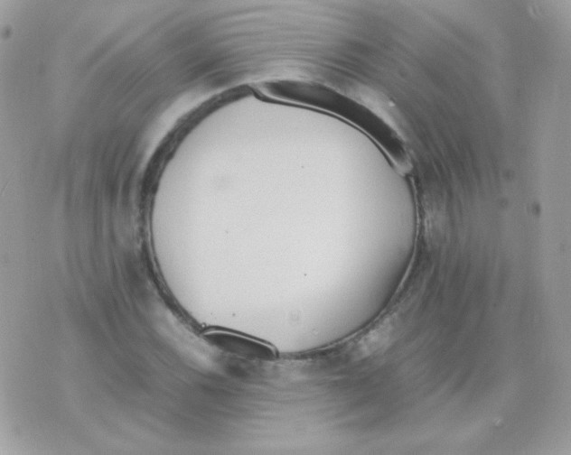 X0000074971116200609291931