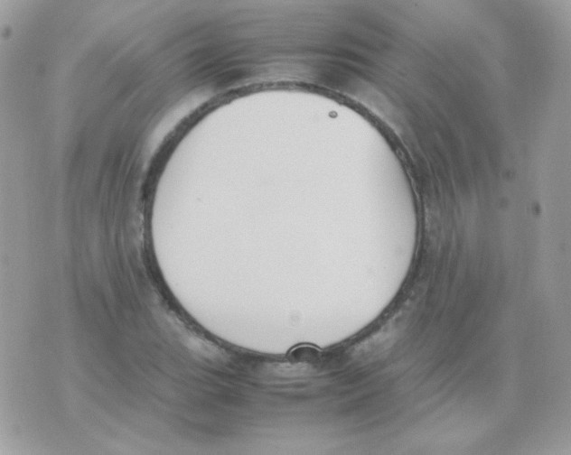 X0000074971119200609291931