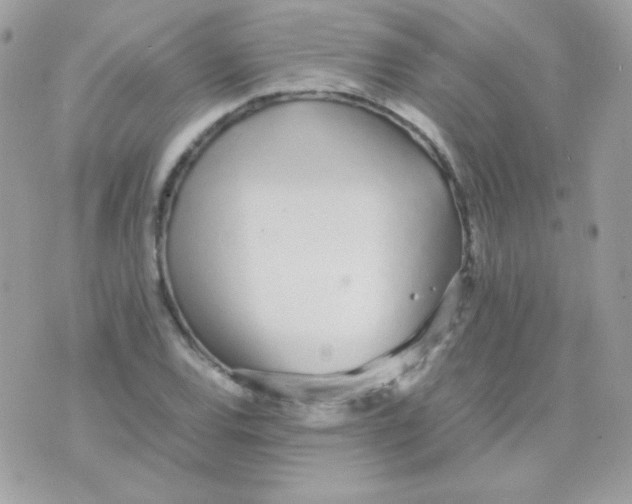 X0000074971120200609291931