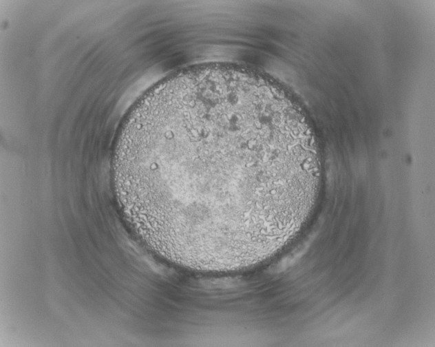 X0000074971121200609291931