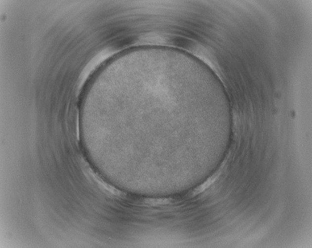 X0000074971123200609291931