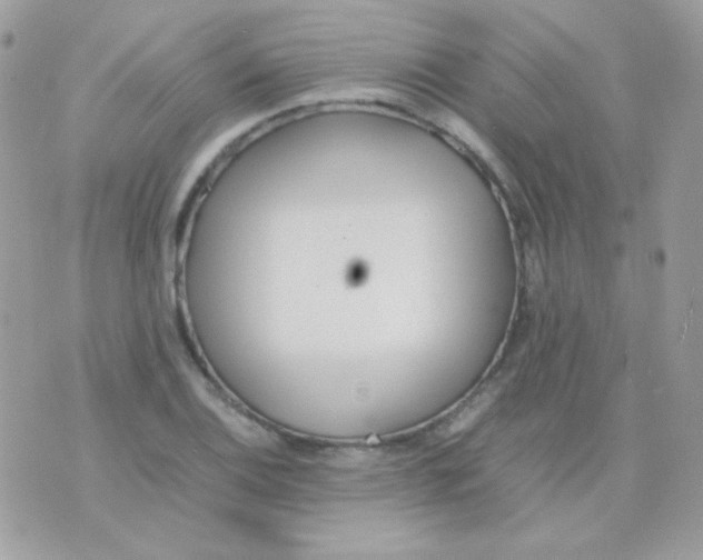 X0000074971124200609291931