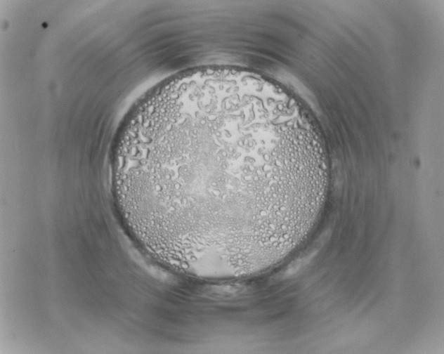 X0000074971125200609291931