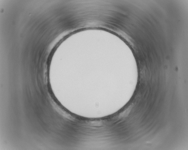 X0000074971126200609291931