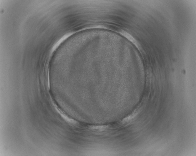 X0000074971127200609291931