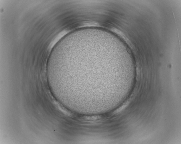 X0000074971129200609291931