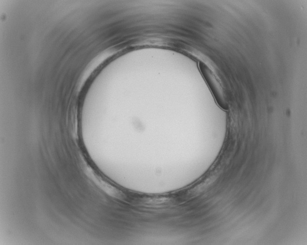 X0000074971131200609291931