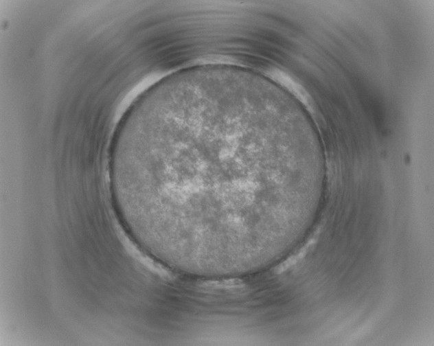 X0000074971133200609291931