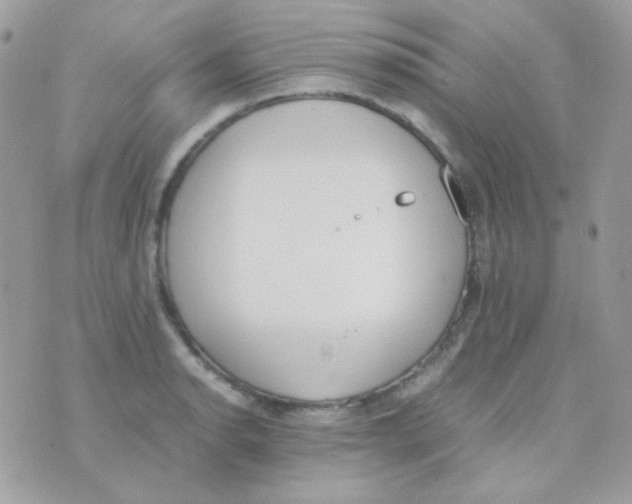 X0000074971134200609291931