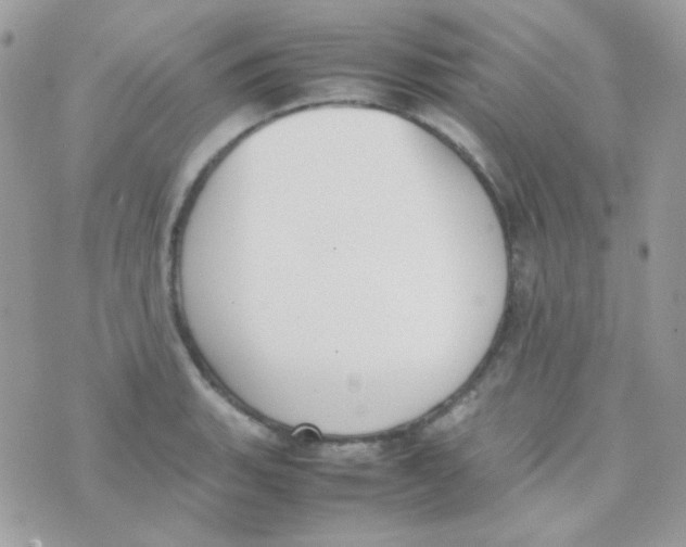 X0000074971135200609291931