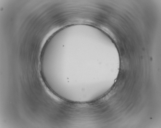 X0000074971136200609291931