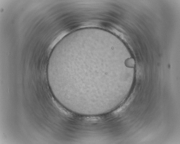 X0000074971137200609291931