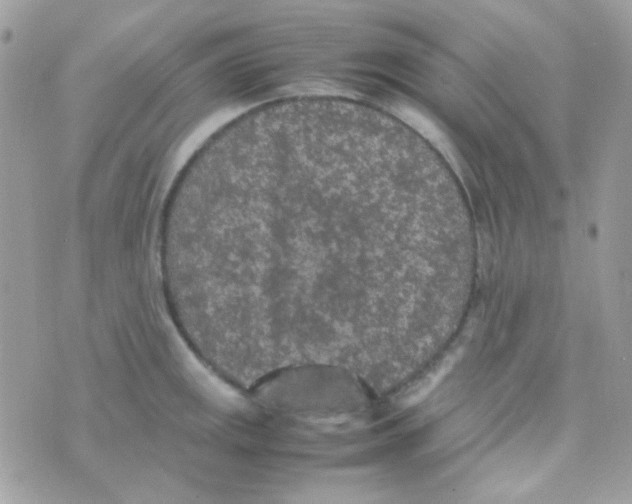 X0000074971141200609291931