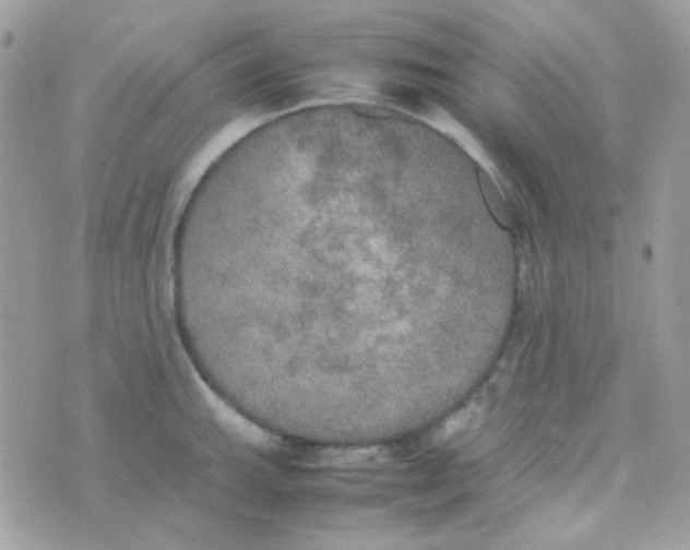 X0000074971143200609291931