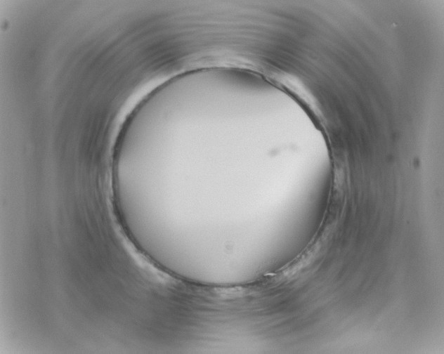 X0000074971144200609291931