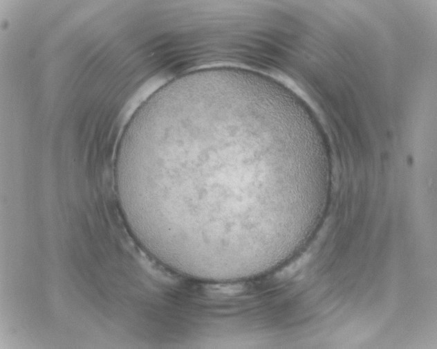 X0000074971145200609291931